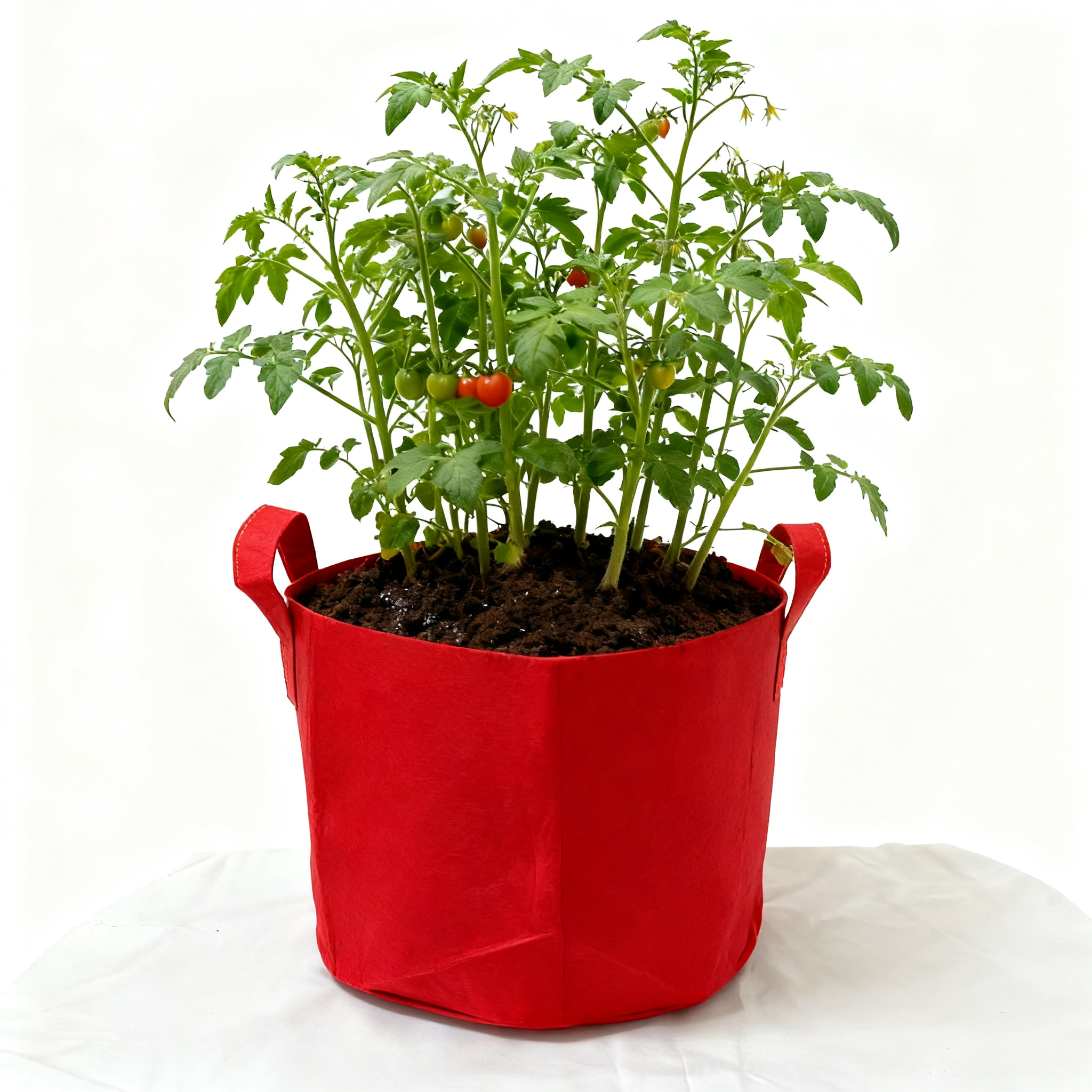 10 Gallon Grow Bags for Vegetable/Flower/Plant, 5 Gallon Aeration Fabric Pots with Handles Cloth Pots for Plants Garden: XXL / Red