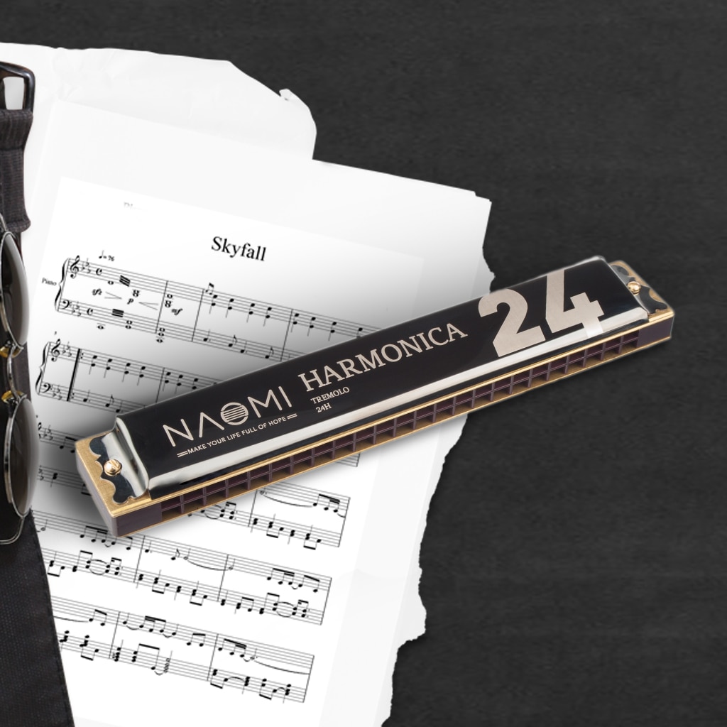 NAOMI Tremolo Harmonica C Tone 24 Holes For Beginners Children