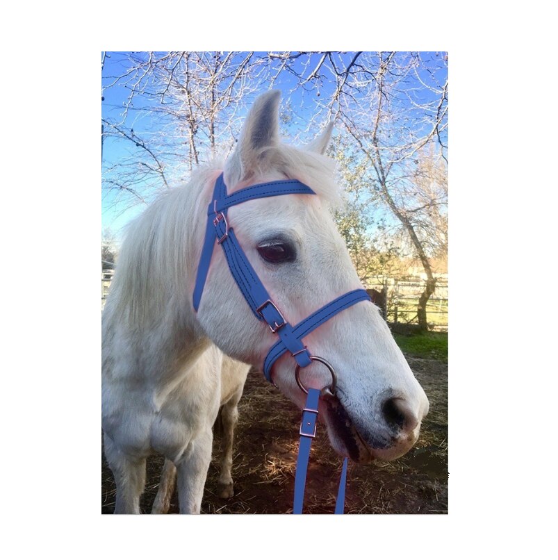 Amazing Head Collar adjustable and Comfortable For Horses: Blue