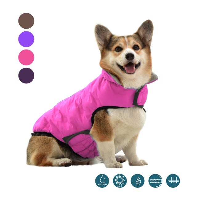 Französisch Bulldogge Korgi Hund Kleidung Mantel Haustier Kleidung Winter Welpen Katze Kleidung Jacke Für Kleine Große Hunde Katzen Weste Ropa perro: Rosa / XL
