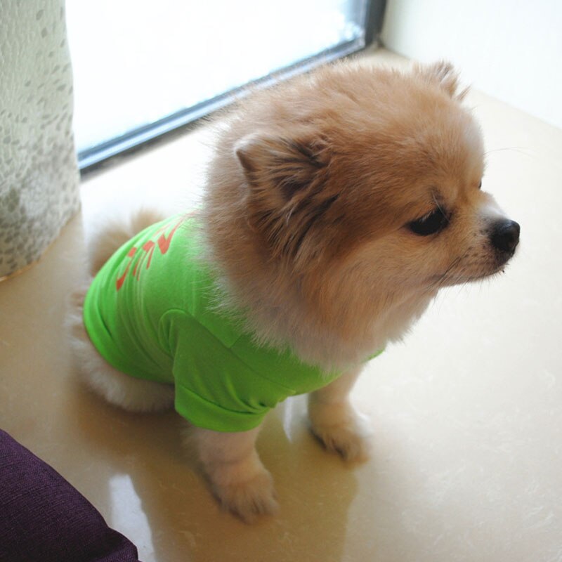 Animal de compagnie chat Costume petit chien chat vêtements mignon chiot chat chaton T-shirt été gilet chemise vêtements pour le printemps et l'été