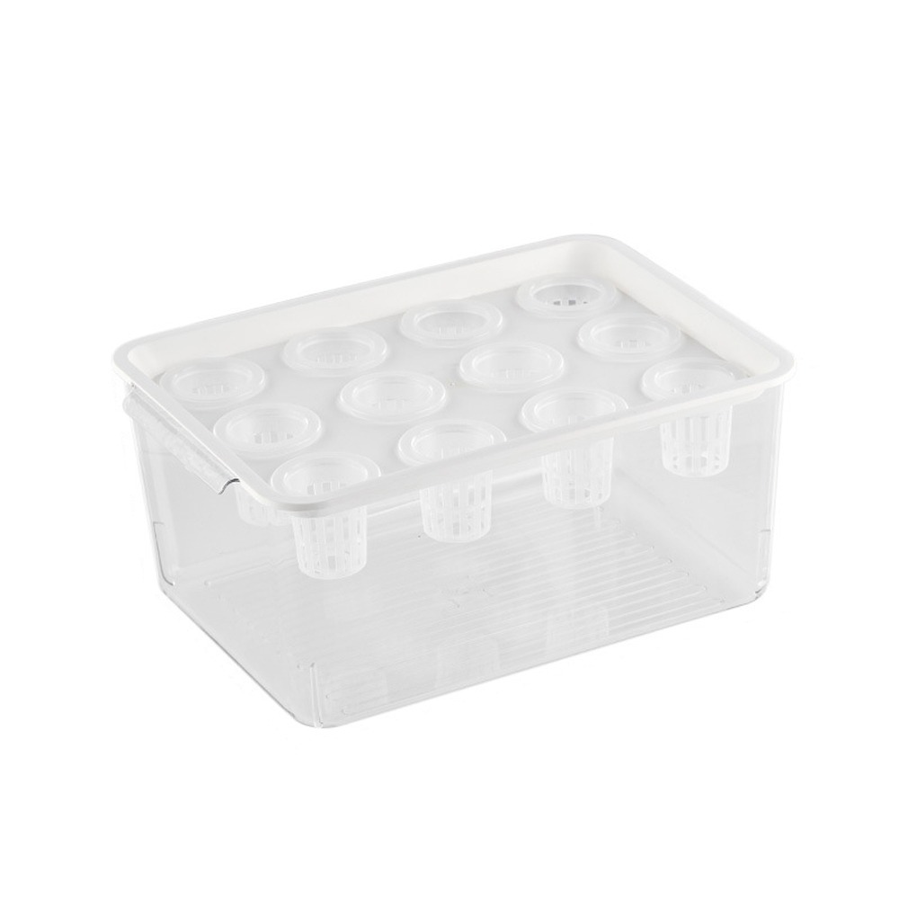 Transparent Hydroponic Grow Fish Tank Self-Cleaning Healthy Environment Planting Container Soilless Cultivation: WHITE