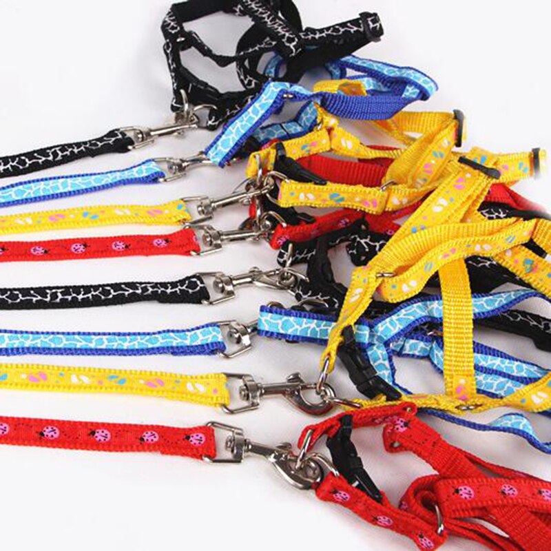 Bilayer-Collar con correas de nailon para perro, conjunto de arnés de correa de plomo para gato, chaleco para caminar, tren de plomo, ajustable y duradero