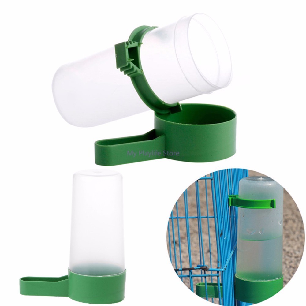 Bebedero para pájaros y loros, alimentador de comida, alimentación de agua para pájaros, pinzones de aviario, suministros antialgas canarios S/L C42