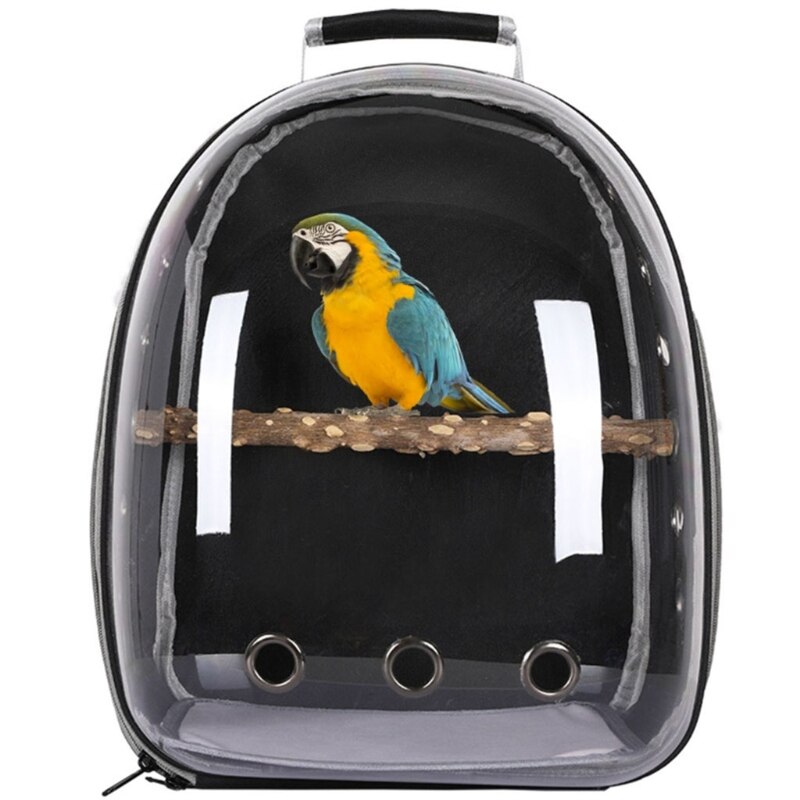 Kat Hond Rugzak Huisdier Papegaai Carrier Bag Transparante Capsule Rugzak Voor Wandelen