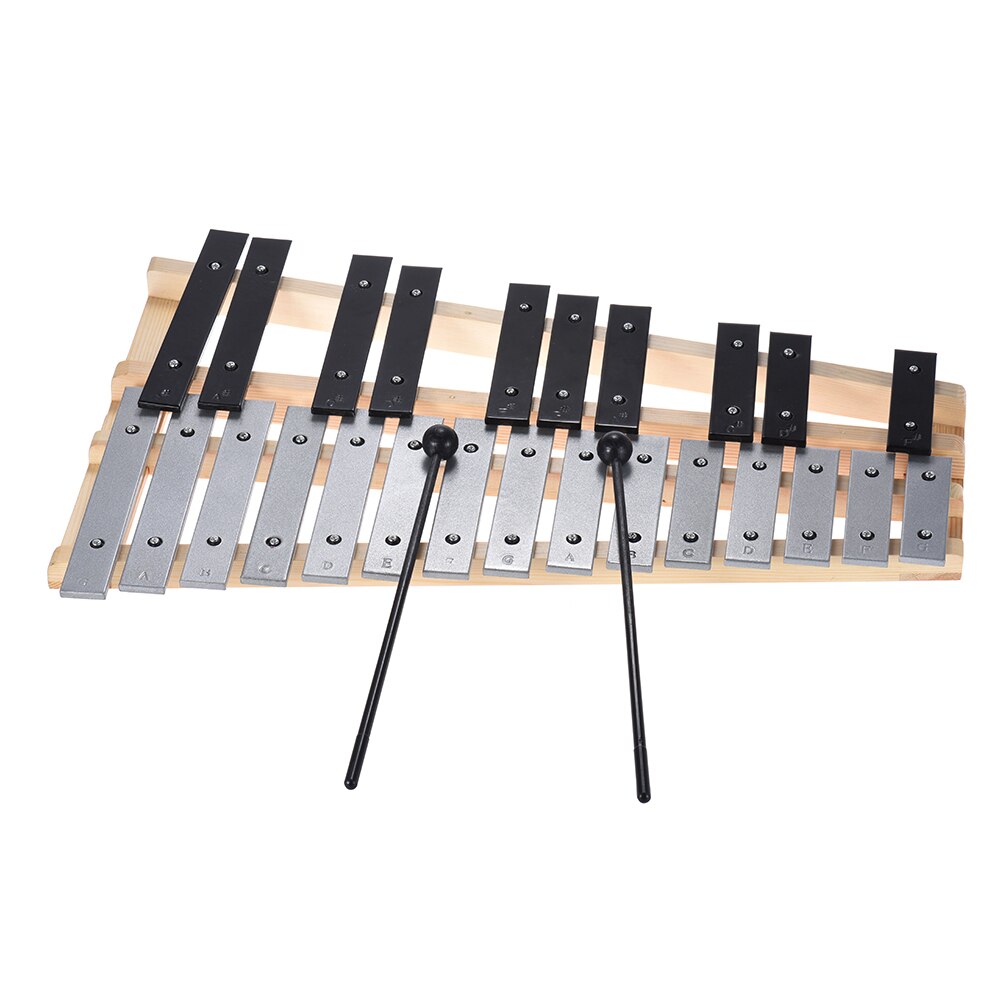 25 Note Glockenspiel Xylophone Educational Percussion Musical Instrument with Carrying Bag