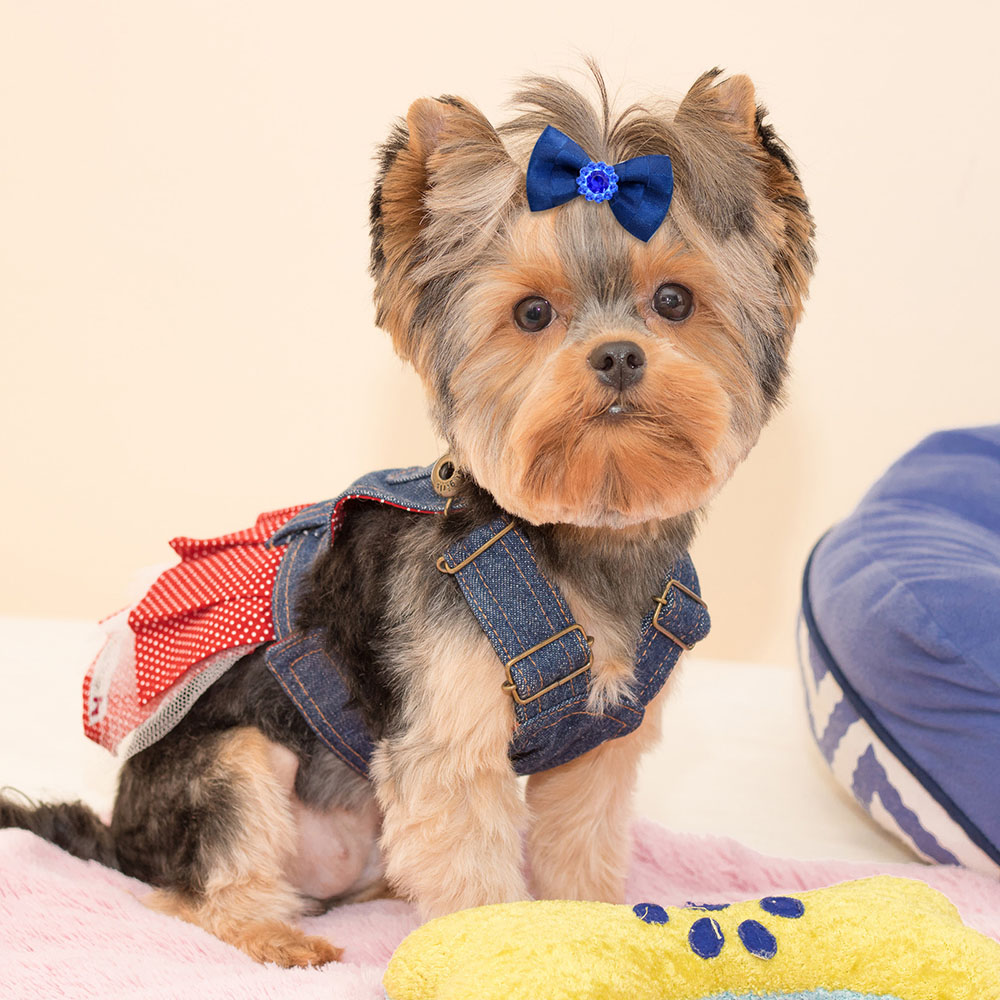 10/20 stk. blå hvalpesløjfer med elastikker, håndlavede hundesløjfer, kattesløjfer, kæledyrshårtilbehør til små hunde