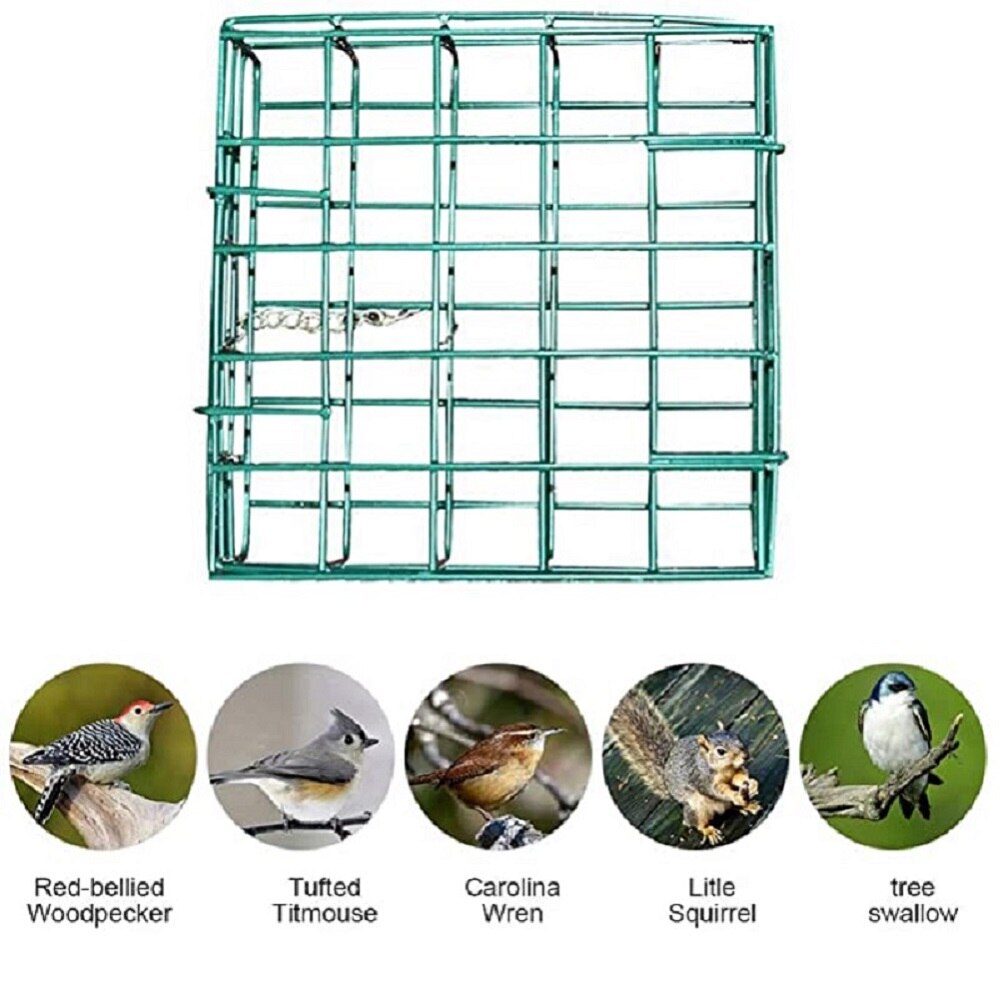Alimentador de Pájaro verde, alimentador de pan cuadrado colgante de hierro, alimentador de tuerca para pájaros, alimentador de comida para pájaros al aire libre, rápida, comedero de pájaros colgante