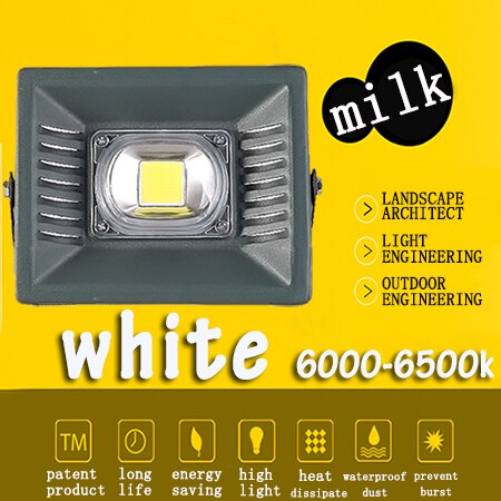 30W 50W 100W 150W LED Flood Light 220V led wall washer light Lighting Gargen Lamp Floodlight IP65: Cold White / 20W  220V