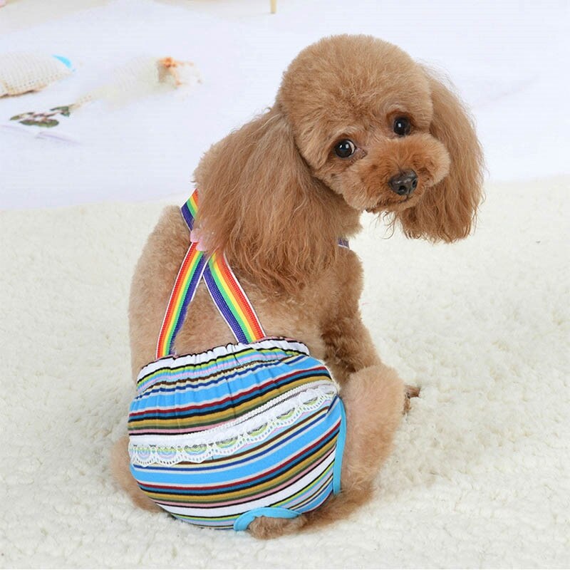 Short de chien hygiénique de | Joli Short pour chien, pantalon court pour chien physiologique, sous-vêtements confortables, pantalon pour chiot féminin pour animaux de compagnie