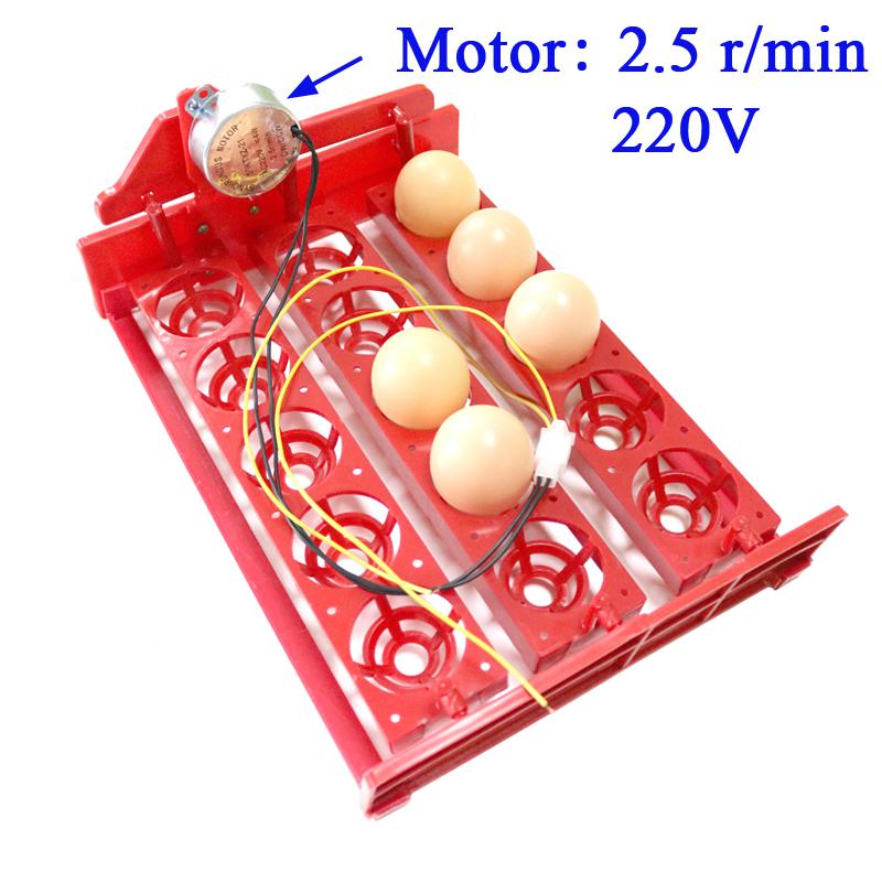 15 Eggs Mini Incubator Automatically Turn Eggs Tray 220V/110V/12V Laboratory Family Incubator Poultry Bird Incubator Equipment: 220V motor