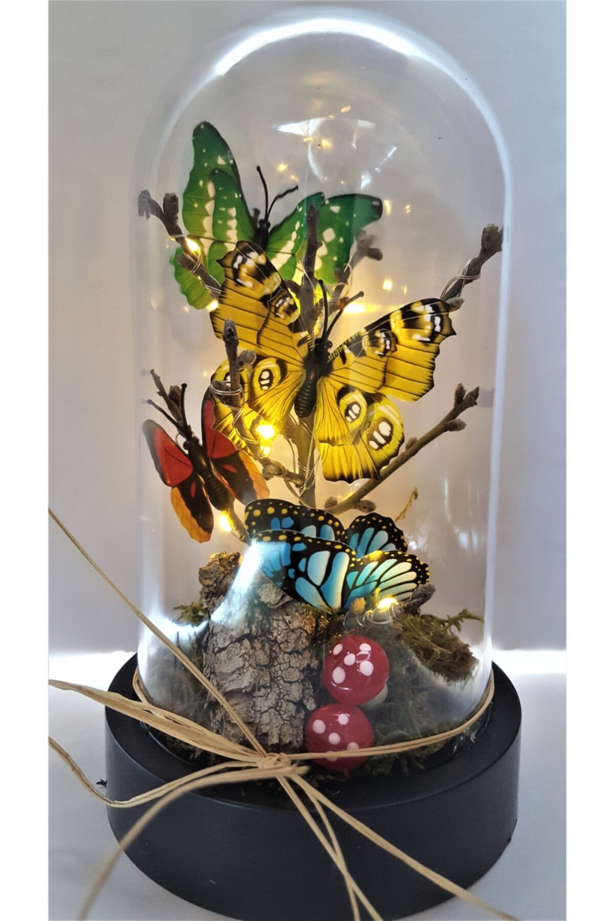 Vase lumineux avec papillon, spécial, décoratif