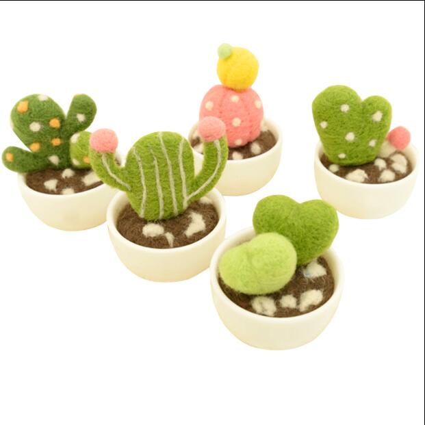 Cactus vlezige plant mini-pot wolvilt wollen borduurset wolvilt naaldvilten decoratie knutselen handwerk diy