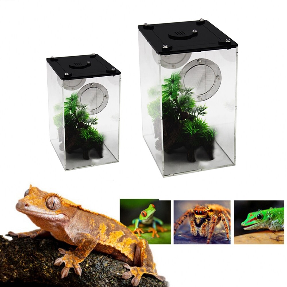 S/L Reptile Feeding Box Transparent Panorama Insect Breeding Box Snake Spider Lizard Breathable Reptile Breeding Container