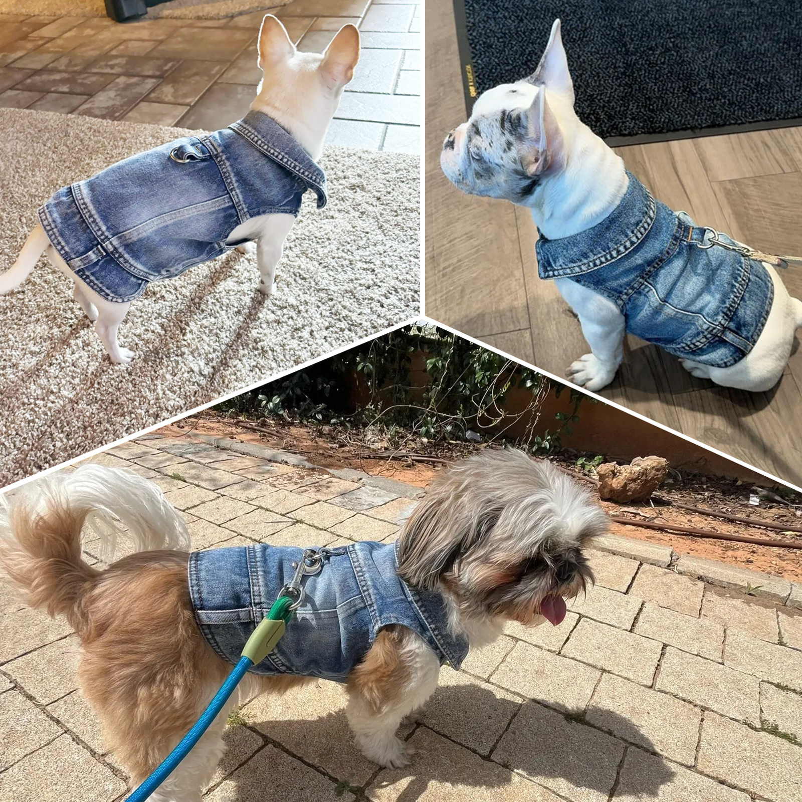 Chaqueta vaquera para perros, camisas vaqueras para perros pequeños y medianos, chalecos con arnés de solapa para gatos, ropa para perros con de rasguño lavado