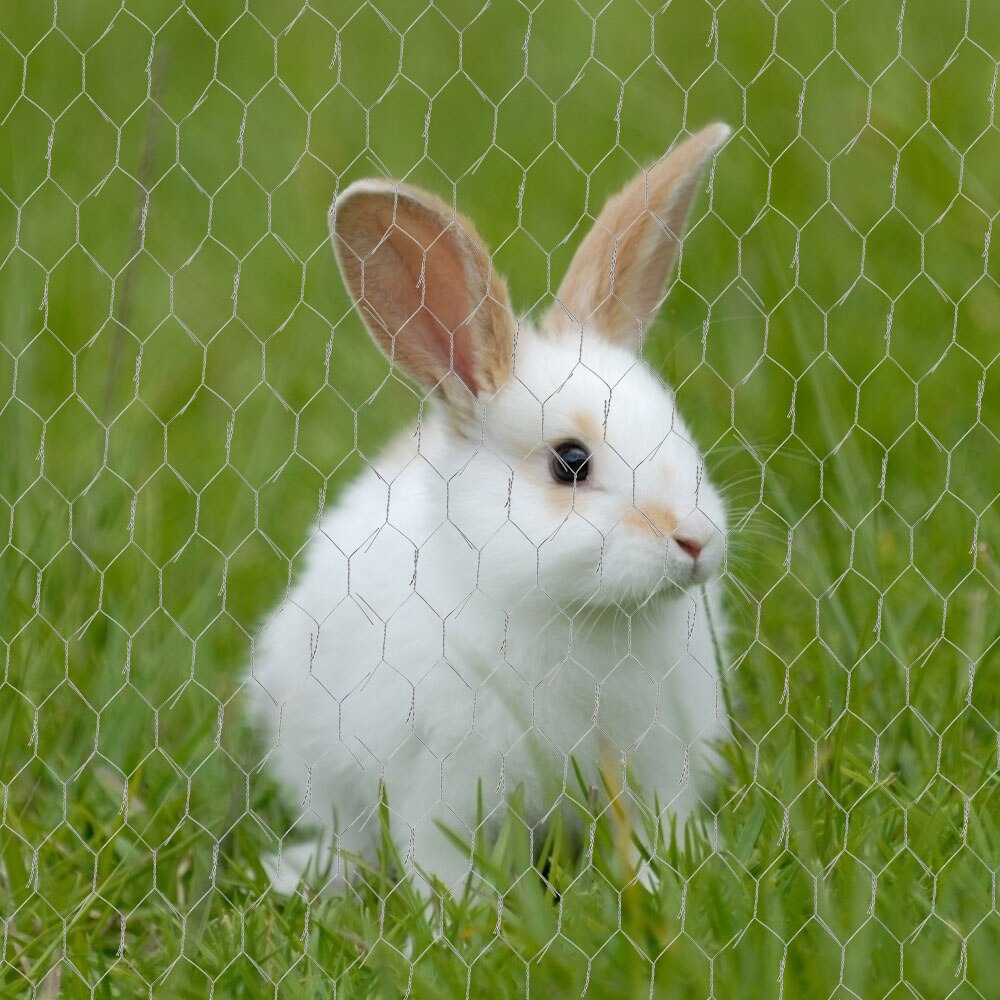 Chicken Mesh Fence Galvanized Hexagonal Wire Net Rabbit Netting Cage Aviary Plant Outdoor Garden Plants Yard Frame Chicken Fence