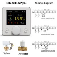 Beok Tuya termostato intelligente regolatore di temperatura Wifi per riscaldamento caldaia acqua/gas schermo colorato funziona con Alexa Google casa: Water Heating