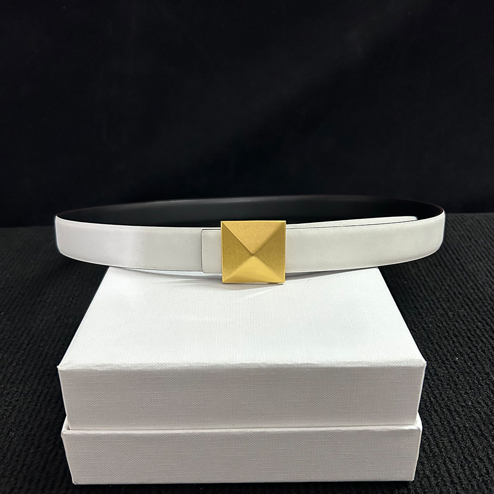 Cinturón femenino de de lujo, cadena de cintura, pantalones vaqueros, vestido de cuero, accesorios para mujer, hebilla piramidal Retro, cinturones de uso de doble cara de 2,5 cm: Gris / 110 cm