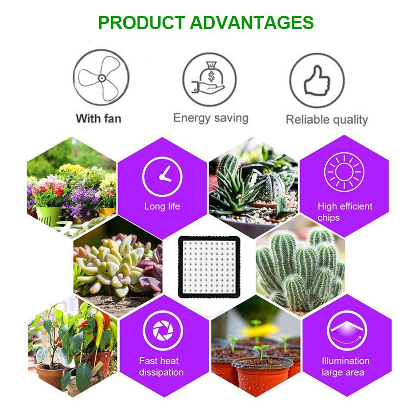 1000W LED Grow Light 5850LM Full Spectrum Growth Vegetation And Flowering Lamp For Plant LED Lights For Indoor Growing Tent Box