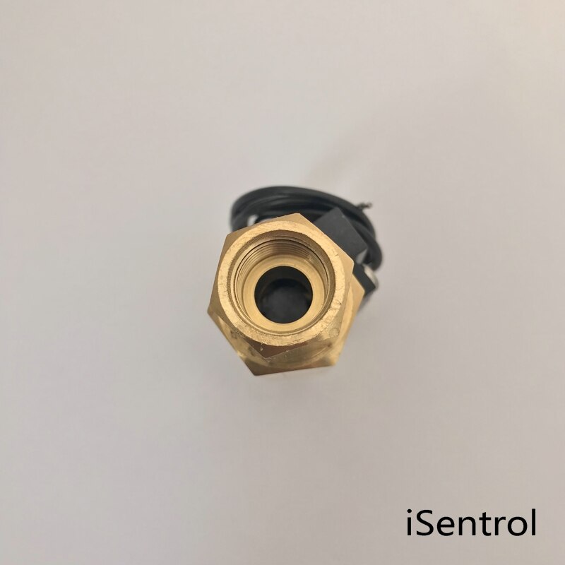 USM-FS41TB Flow Sensor Switch Reed Switch Brass Magnetic Sensor Switch 1.5-12L/min 250V DC 70W 2 wire iSentrol Zhongjiang Open