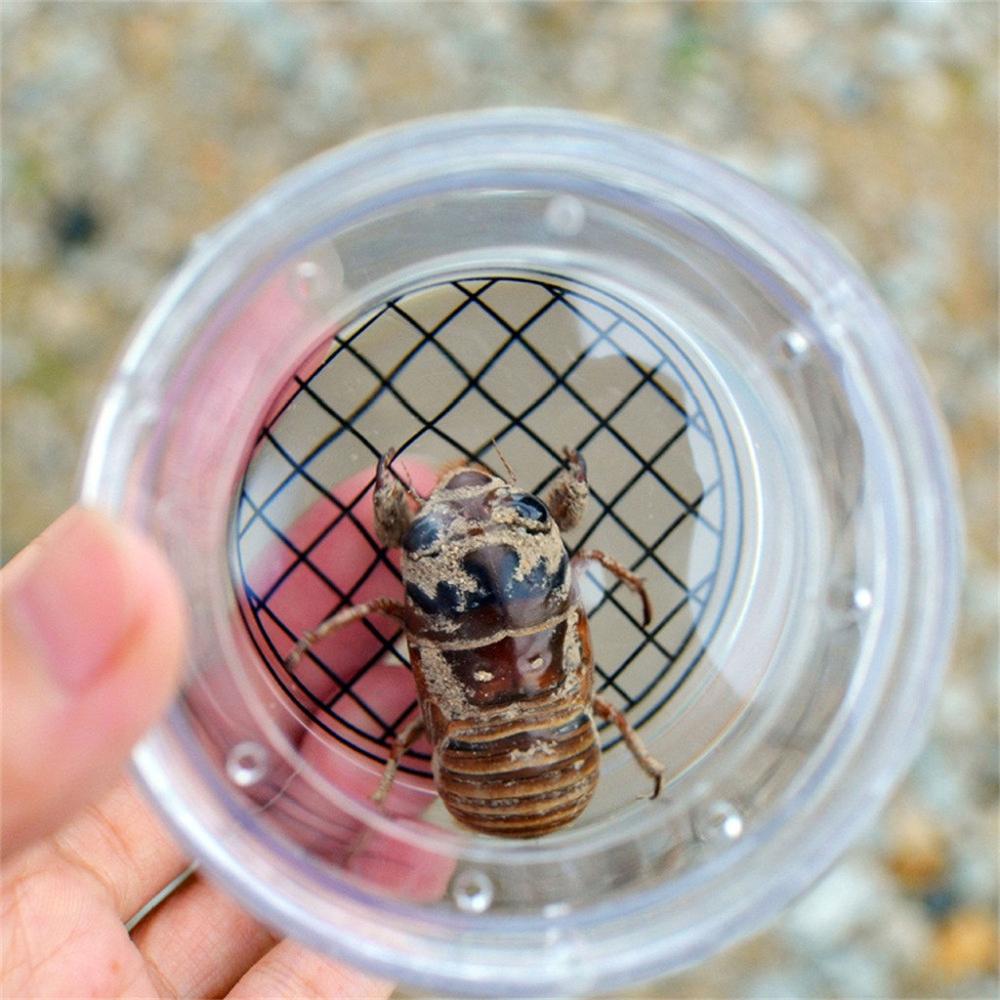 Set De 5 Frascos Con Lupa Para Observar Insectos – 7x7x6.3 Cm, Plástico Transparente, Para Niños, Exploración Científica Y Naturaleza