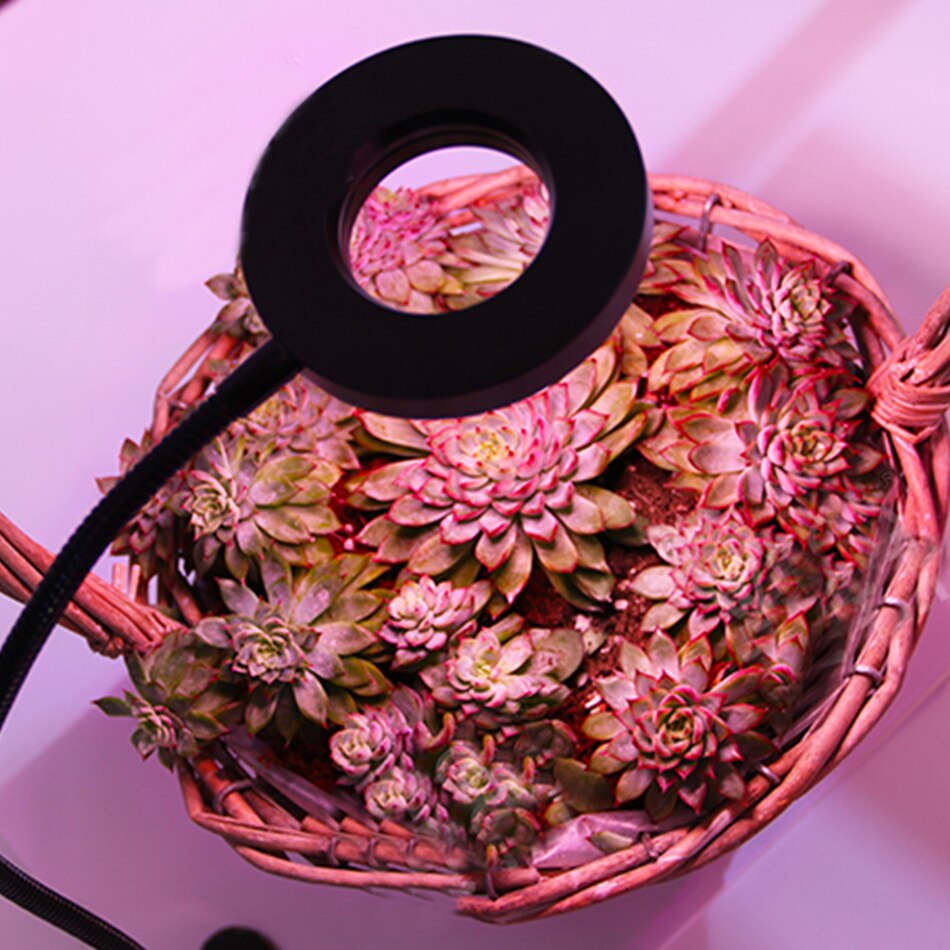 Jy-ve led kasvitäyttövalo täyden spektrin kasvulamppu kukka orkidea mehevä bonsai työpöytäklipsi