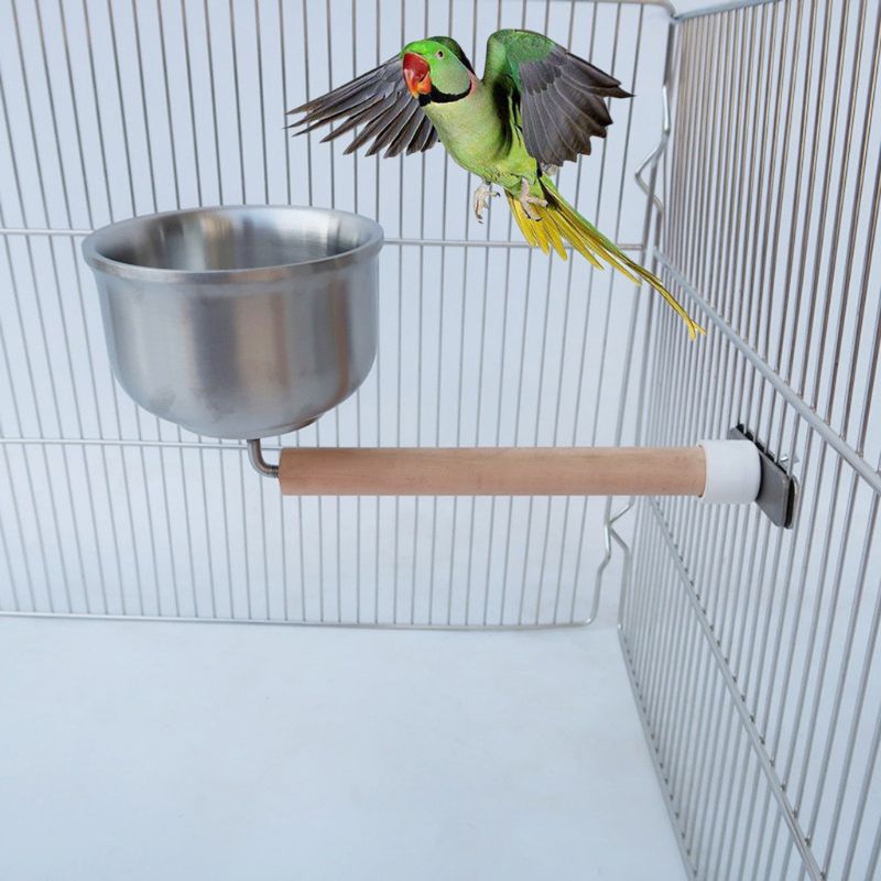 Mangeoire Et Abreuvoir Pour Oiseaux En Acier Inoxydable Avec Pince - Pour Perroquets, Perruches, Cages