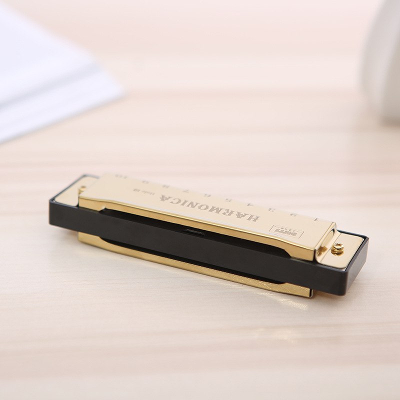 10 Holes Blues Harmonica Musical Instrument Stainless Steel Mouth Organ for Children