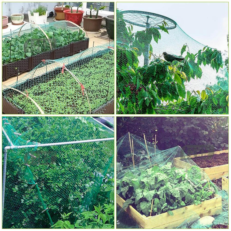 Red Para Cerca De Plantas De Jardín Red Verde Antiaves Enrejada Para Cultivos De árboles Frutales Protección Para Gallinero Valla Malla Antipajaros Para Malla Verde Jardin Reutilizable