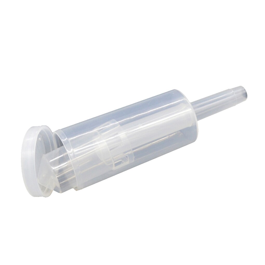 Set 2 Vasetti In Vetro Da 32 Oz Con Chiusura Ad Aria E Coperchio – Fermentazione Di Kimchi, Crauti E Lievito, Ampia Bocca E Guarnizioni In Silicone, Lavabili In Lavastoviglie