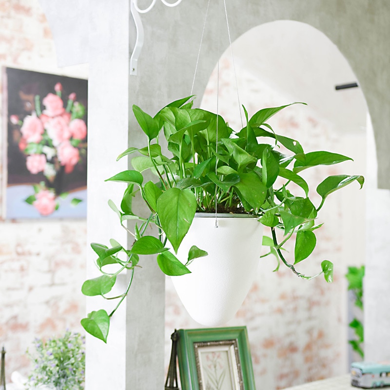 Maceta blanca absorbente de agua para flores, macetas de plástico para plantas suculentas, macetas colgantes de agua para riego, macetas de jardín, decoración del hogar