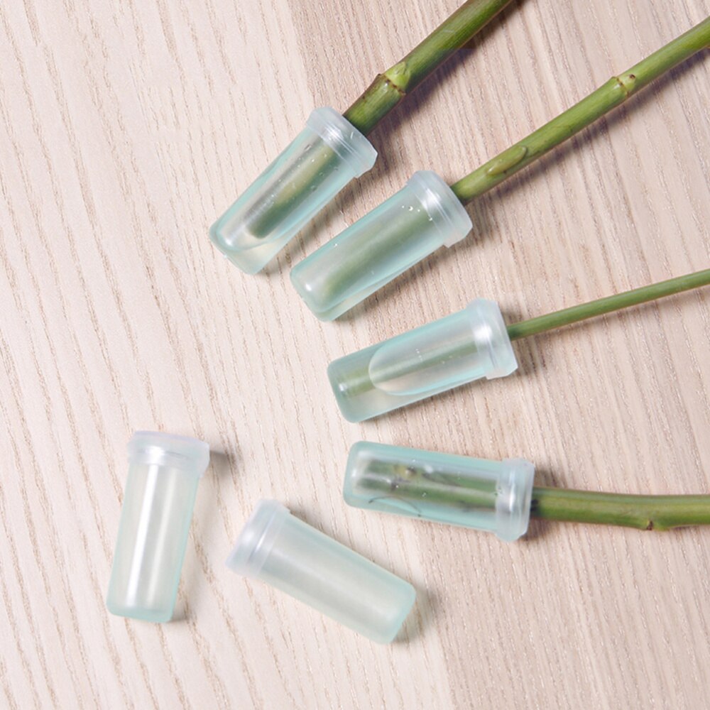 Tubos de agua florales para flores, soporte de almacenamiento de agua para nutrición fresca, tubos de prueba pequeños, bandeja de crecimiento de flores para plantas, 20 piezas/100 Uds./200 Uds.