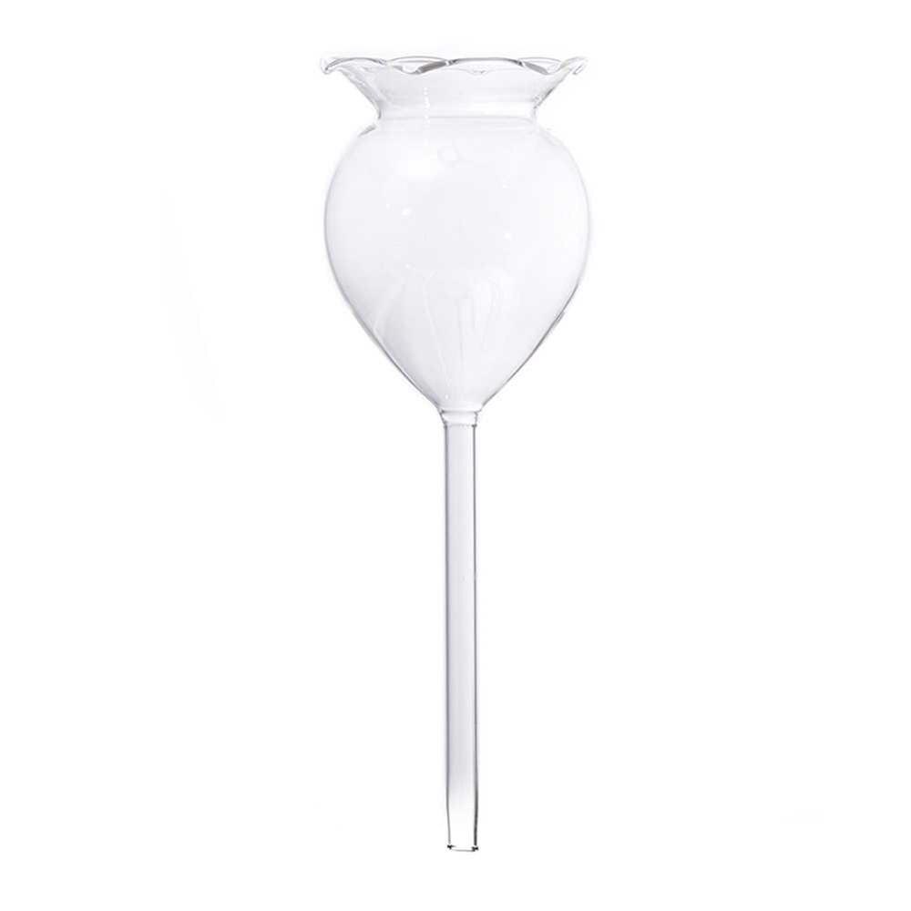 12 stilarter hus / have husplante automatisk selvvandingsglas fugl vandkande blomster planter dekorativ glasvanding: F