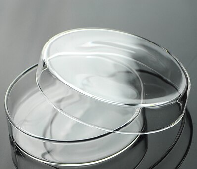60mm Glass Petri Dish Lab Glassware Promise 3.3 Borosilicate glass Clear and Smooth pack 2