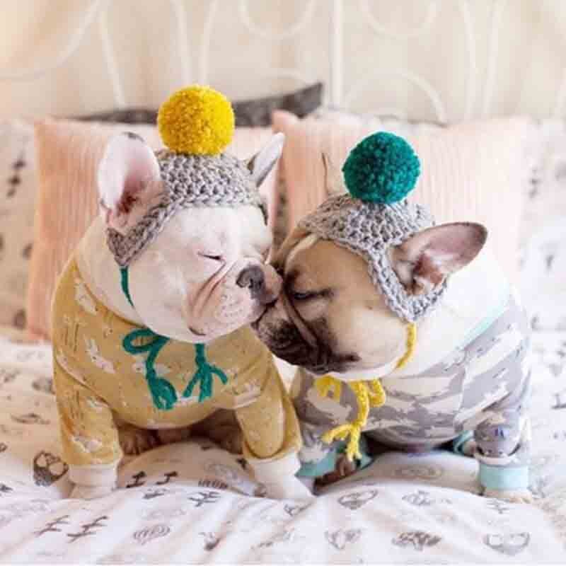 Søt linje ball form kjæledyr katt hund fest kostyme antrekk for bulldog vinter varm hund morsom katt pet lue cap