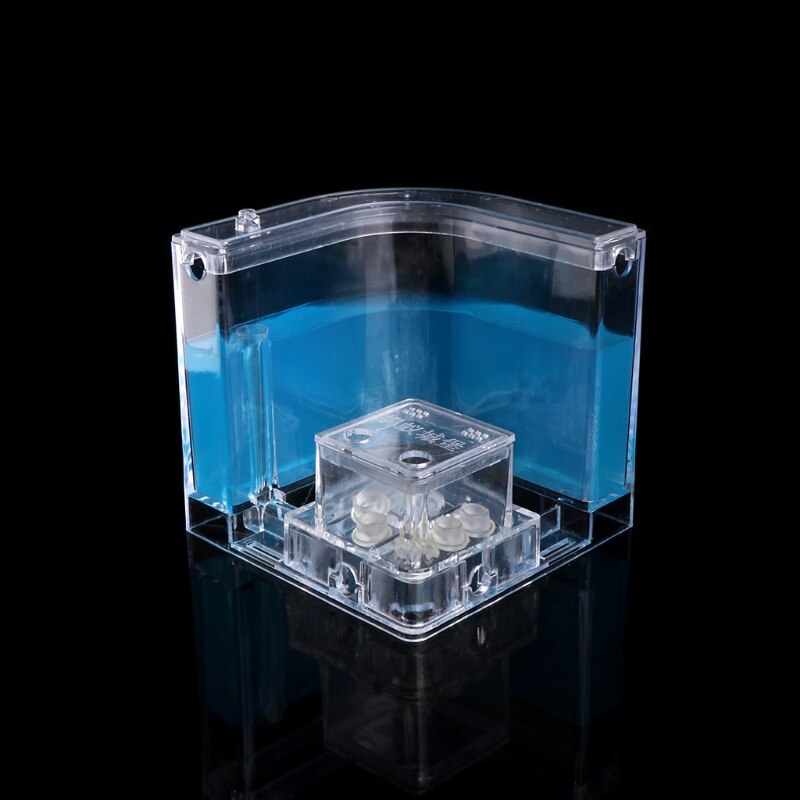Ant Farm Gel Maze 3D Educational Nursery Live Feeding System Novelty Habitat