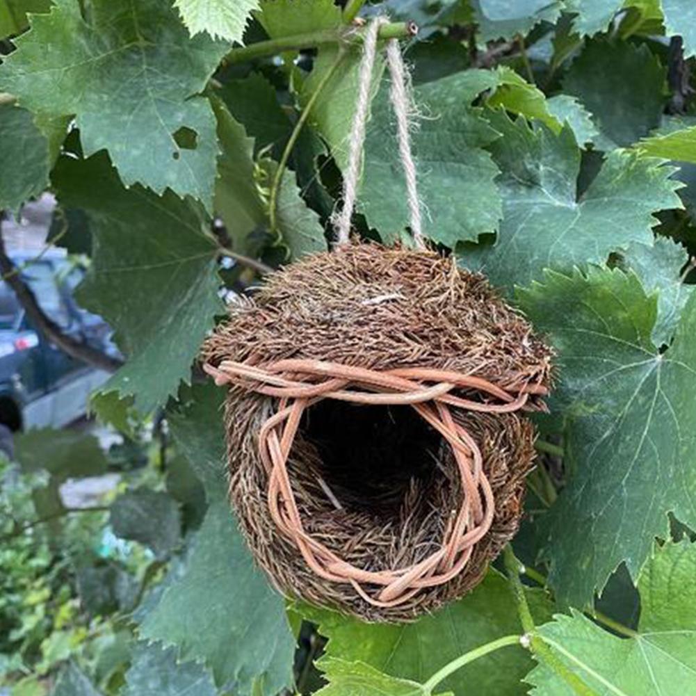 View of Little Bird Nest Handmade Bird House Natural Parro... - Vicedeal