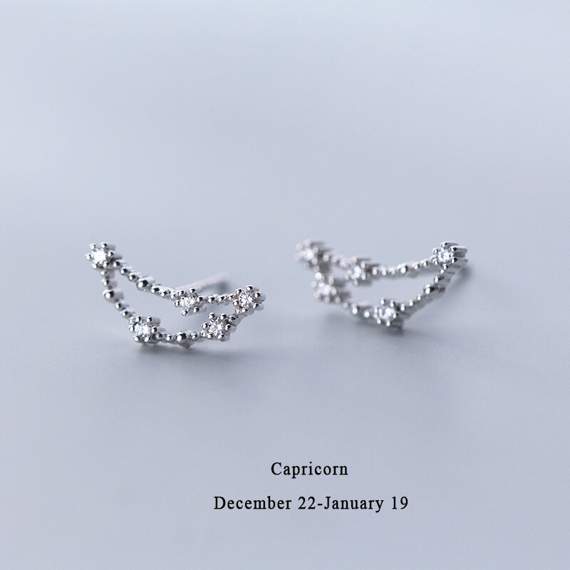 925 Sterling Silver AAA Cublic Zirconia Scorpio Taurus Twelve Constellation Zodiac Sign Stud Earrings Ear Piercing Jewelry: Capricorn