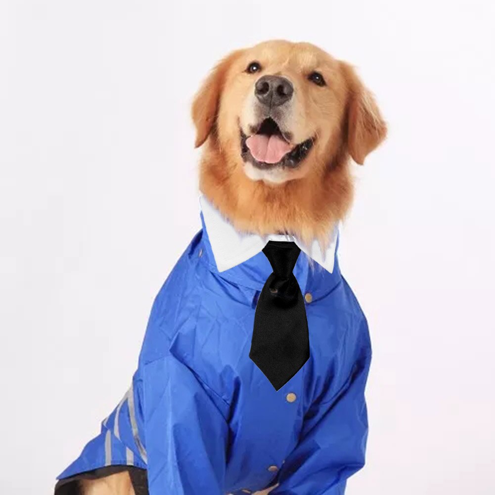 Moda obroża dla kota/psa muszka bawełna zwierzę domowe formalny krawat na wesele