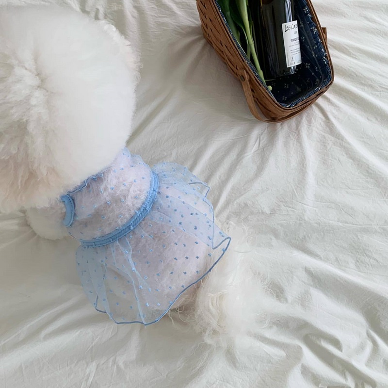 Vestiti rinfrescanti per cani Bretelle per animali domestici Vestito per cani Pizzo traspirante Sottile Gonna per cuccioli chihuahua Bichon Barboncino costume per cani per ragazze 2025 Nuovo