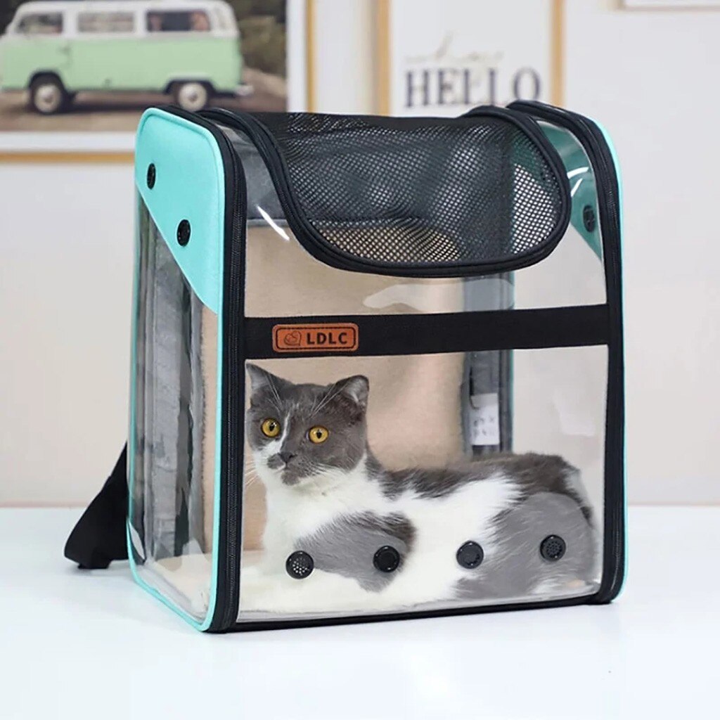 Nueva mochila transparente Visible para mascotas, mochila porta gato, mochila transpirable para viaje al aire libre para perros pequeños y gatos @ 40
