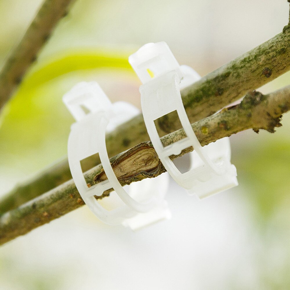 100pcs Reusable Plastic Plant Support Clips clamps For Plants Hanging Vine Garden Greenhouse Vegetables Tomatoes Clips