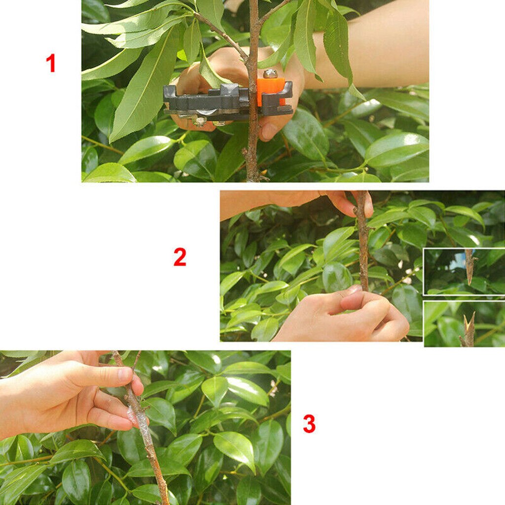 Nursery Garden grape vine Graft Tool Cutter Secateur pruning plant Cut floristry Seedle Shear pruner Scissor Branch Fruit Tree30