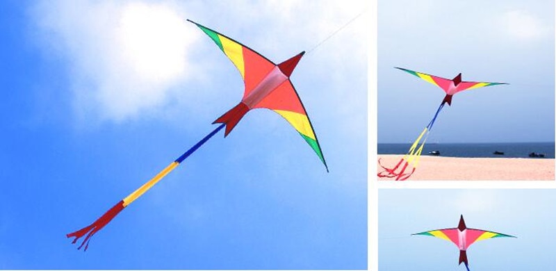 , novedad, cometa Pájaro de Fuego suizo de 3m para adultos, cometa de flamenco, cometa ross, línea de kevlar, cometa de entrenamiento windshock 3d doos vlieger