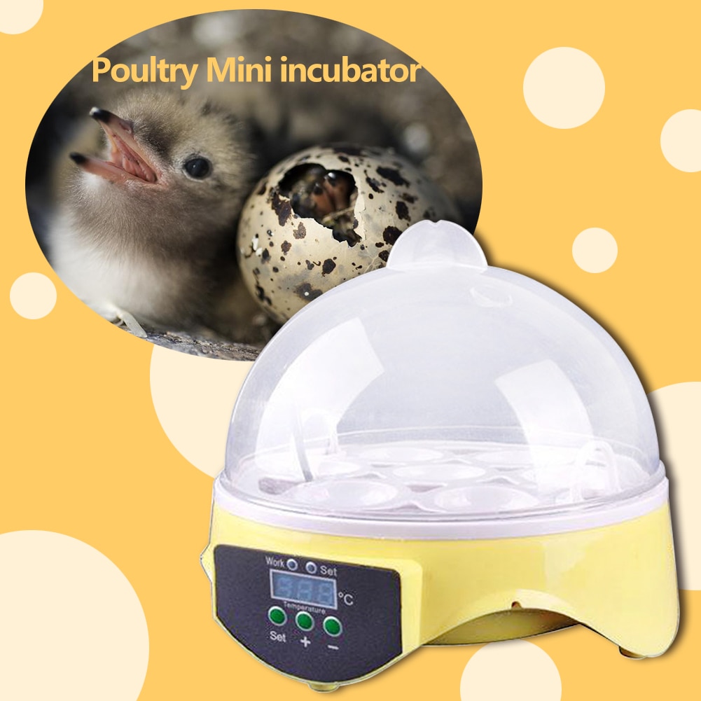 Mini 7 Egg Incubator poultry Hatchery Machine Automatic Brooder Digital Temperature Control Hatch For Chicken Duck Birds Quail