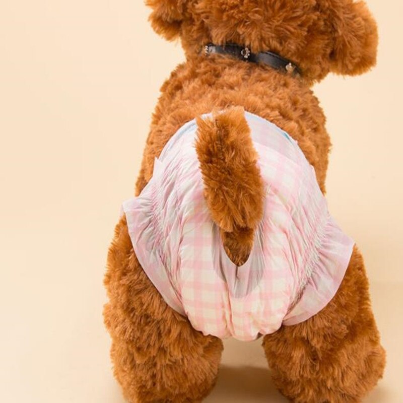 Couches jetables pour chiens de compagnie | 20 pièces, pantalons menstruels physiologiques pour chiens féminins, langes pour grands chiens masculins