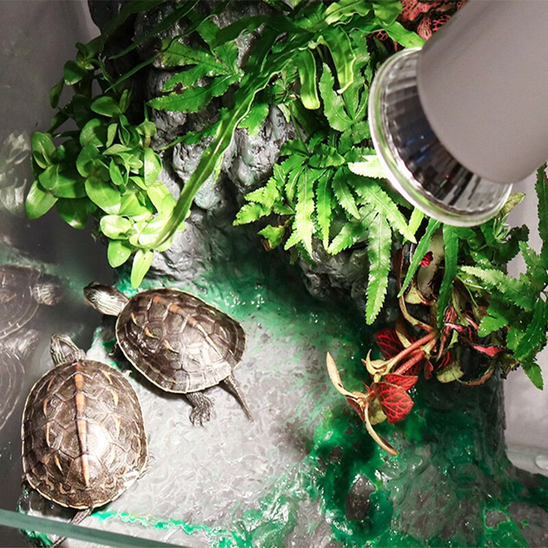 Haustier Heizung Lampe Eidechse Schildkröte Spinne Reptilien Kasten Heizung Wärmer Wärme Lampe Grübler 25W/50W/75W