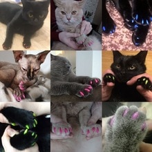 tapa de uñas de Pet Protector de uñas de pegamento perro gato garra Paws adhesivo suave aplicador accesorios de aseo para mascotas