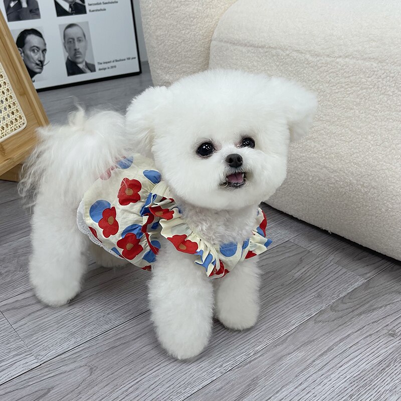 Letnia sukienka dla psa kot sukienki dla szczeniąt Chihuahua pomorskie Shih Tzu maltese Yorkshire pudel Bichon odzież dla małych psów spódnica