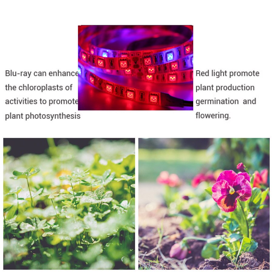 5m led grow light strip fuld spektrum uv lamper til planter vandtæt phyto lampe rød bluetape til drivhus grow telt hydroponic